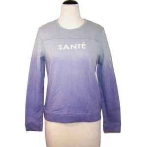 Mo:Vint Sweatshirt Top Medium Ombre Sante Long Sleeve Pullover Blue Purple NWT
